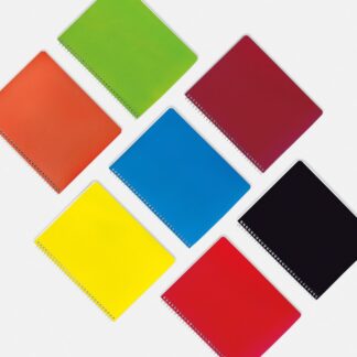 Cuaderno Profesional