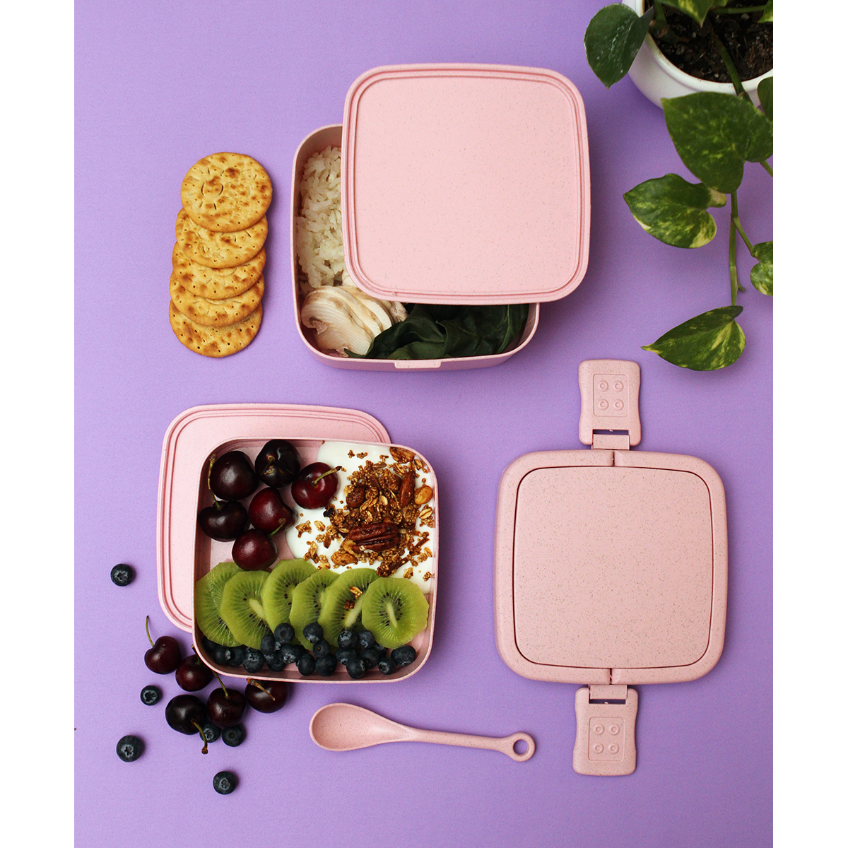 Contenedor Olgiy. - Image 3