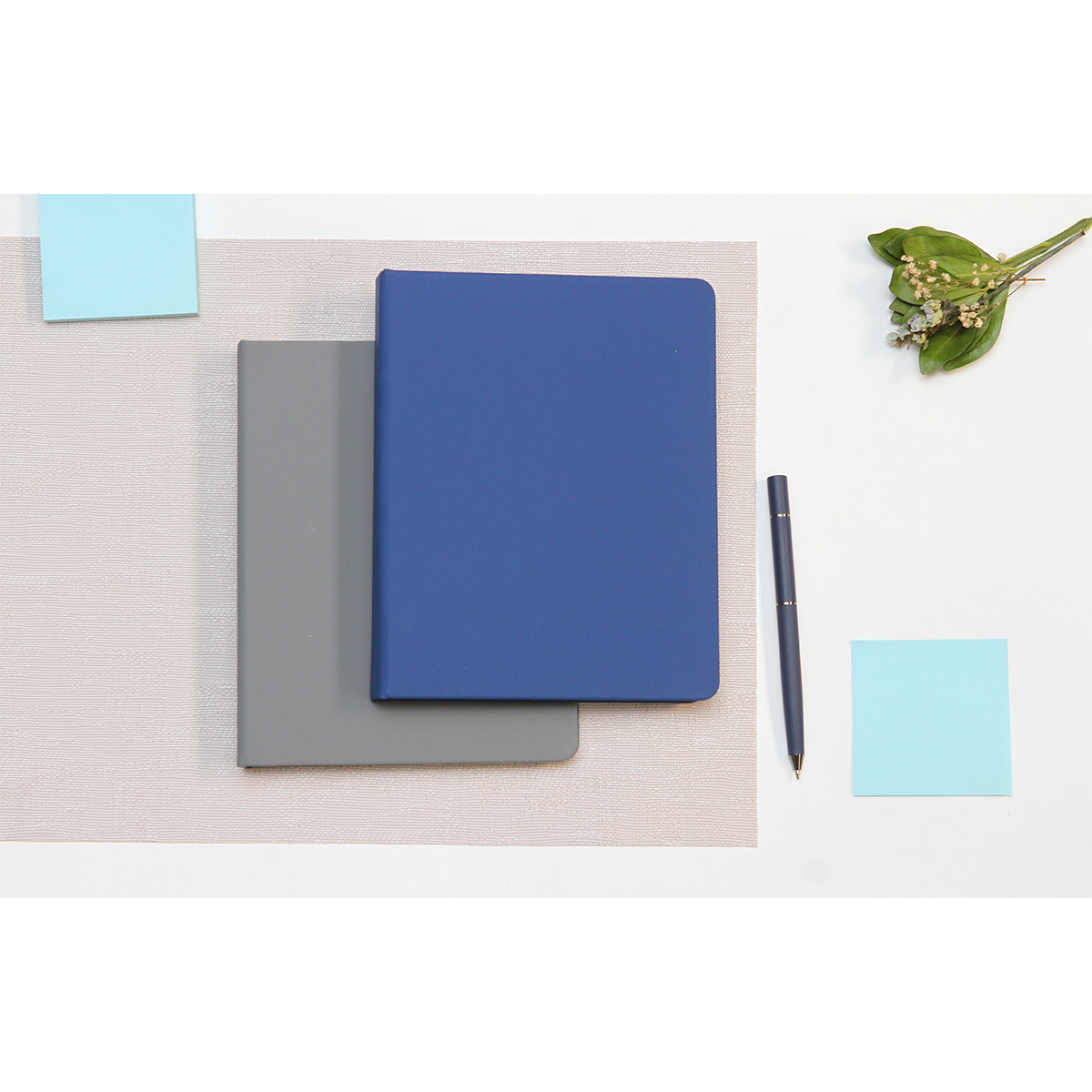 Libreta Bramley. - Image 4