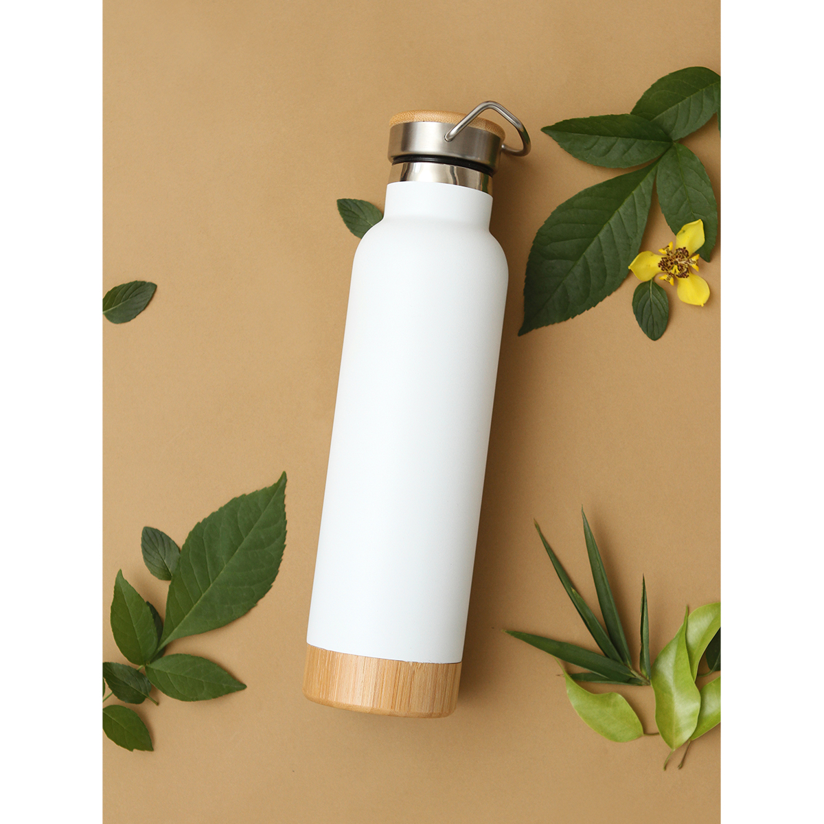 Botella Gangi. - Image 4