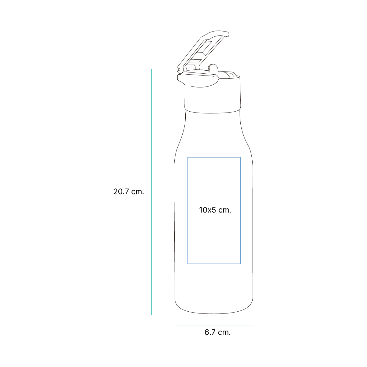 Botella Dongola. - Image 5